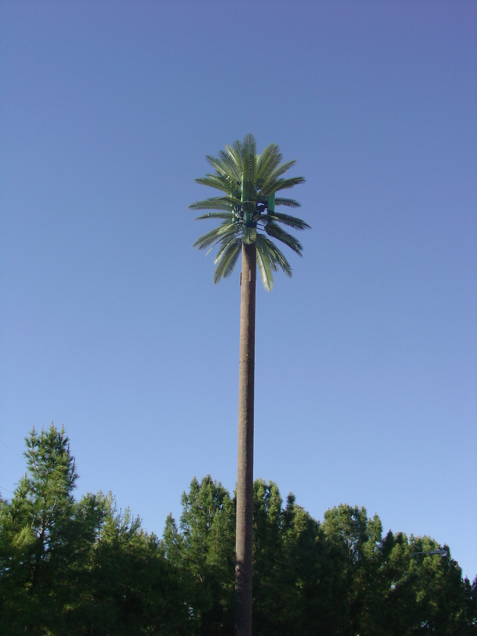 image of fabricated  cell tower palm tree